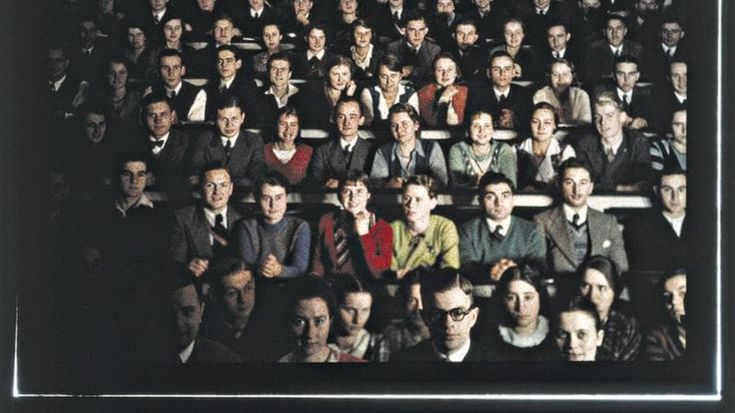Elogio dell'andare al cinema durante le feste (non solo per Zalone)