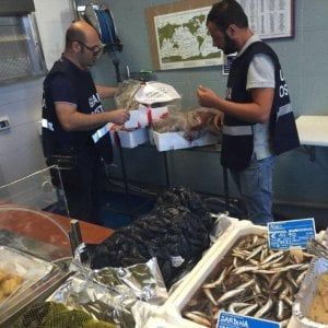 Milano, pesce dall'Asia venduto come locale: sequestrate 25 tonnellate di prodotti ittici