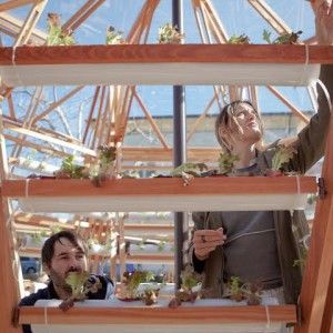 Due architetti inventano una serra galleggiante. "La nostra risposta per la fame nel mondo"