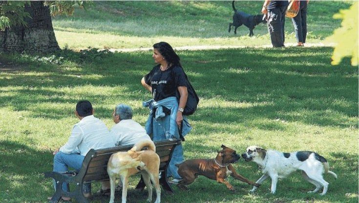 “C’è un furgone bianco che rapisce i cani”. A Roma la psicosi di Crudelia