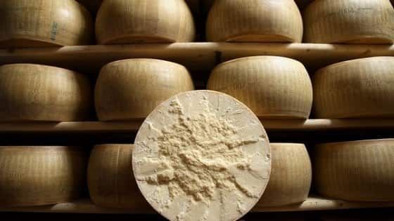 Parmigiano Reggiano, il Consorzio: "Produzione resterà sempre nell'area di origine"