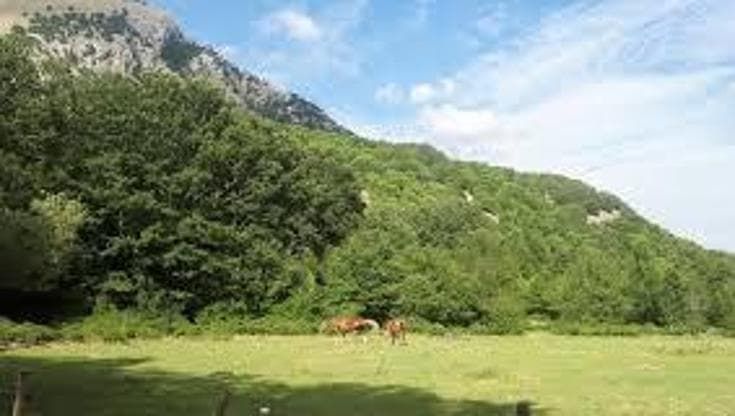 Rifiuti, Legambiente: “Nelle aree naturali raccolta differenziata al 58%. Crescita lenta”