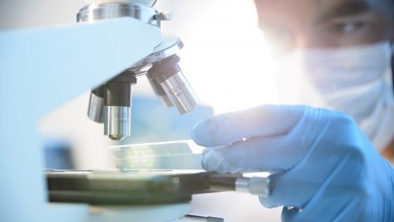 L’ultimo giallo della ricerca, il tesoretto non c’è più