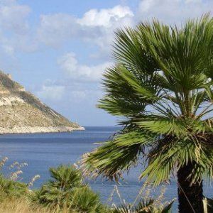 Riserve naturali trovato l'accordo: evitata la chiusura da sabato