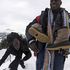Migranti, 