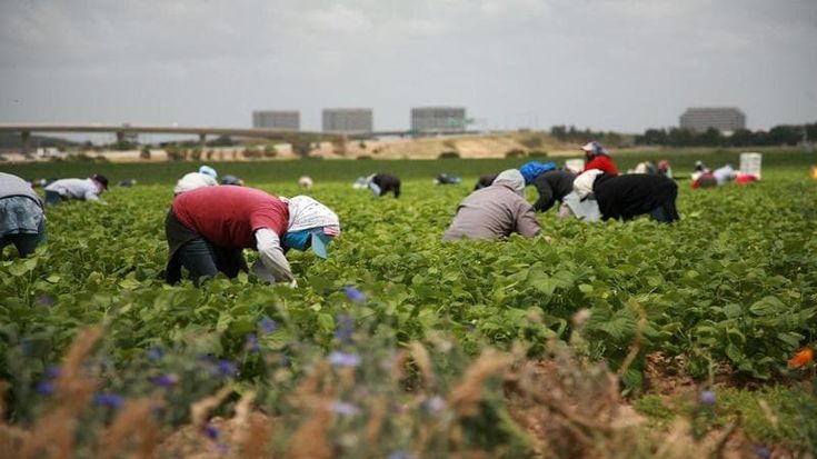 I morti sul lavoro e quel sistema di sfruttamento e segregazione diffuso in tutta Italia