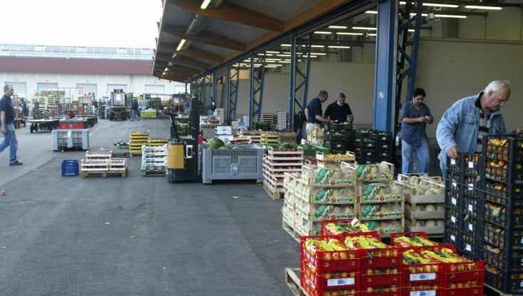 "Creiamo un polo del food alla Mercafir", il blitz di Mastrolia a Firenze