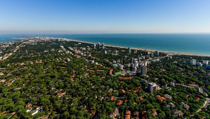 Lignano Sabbiadoro entra nelle "Città degli alberi". È la settima d'Italia