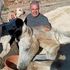 Un cane lo salvò da una bomba, ripresa la guerra in Libano ha deciso di dedicarsi agli animali