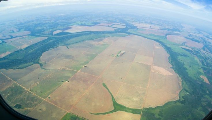 Le foreste sono il secondo più grande serbatoio di carbonio dopo gli oceani