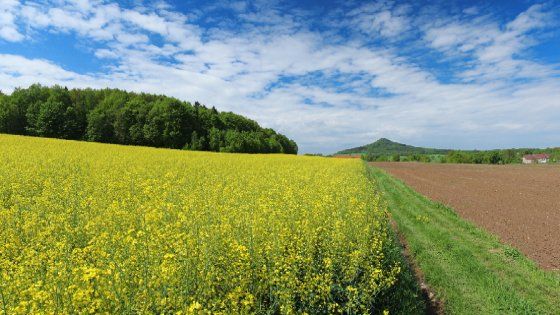 I giovani agricoltori italiani sono green: la passione per la terra rinasce con il bio