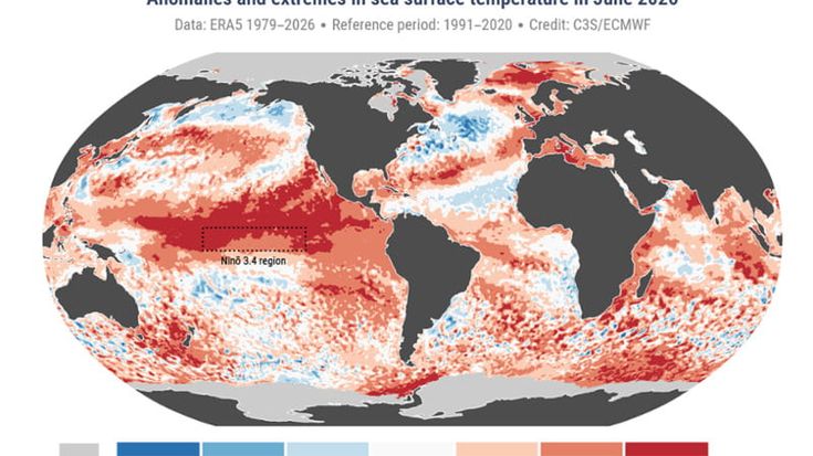 Caldo, mari mai così bollenti: in arrivo nuove specie aliene ed eventi estremi