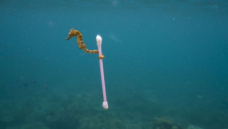 'Planet or plastic?': a Bari la mostra del National Geographic sull'inquinamento da plastica
