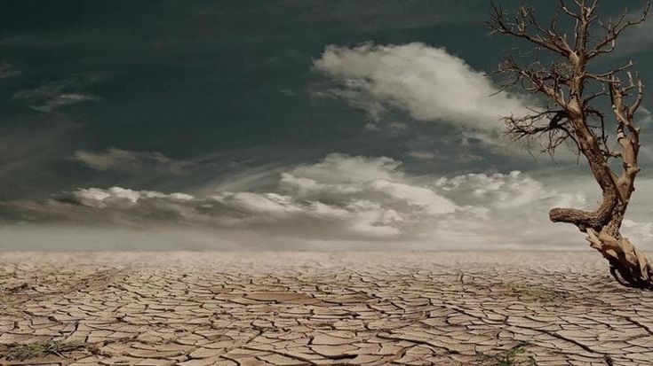 L’ombra del Niño: il surriscaldamento anomalo del Pacifico potrebbe ripartire tra qualche mese