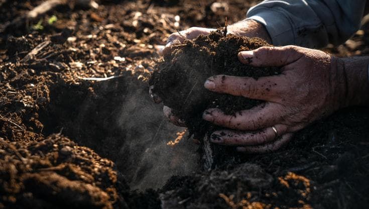 Un’etichetta per il giusto prezzo del cibo. “Così aiutiamo gli agricoltori a salvare il suolo”