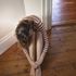 Depressione, in Italia colpisce 2,8 milioni di persone: donne e disoccupati i più a rischio