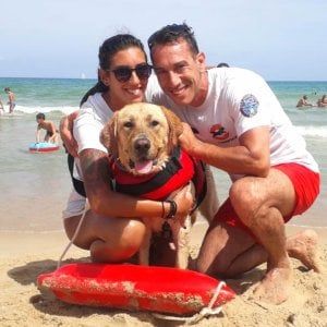 Alcamo, cane bagnino salva un uomo