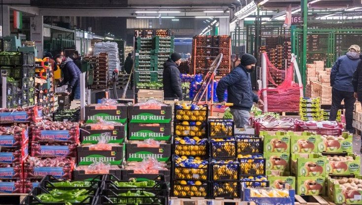 Modello Milano per salvare il cibo: la Statale disegna la mappa dello spreco all’Ortomercato