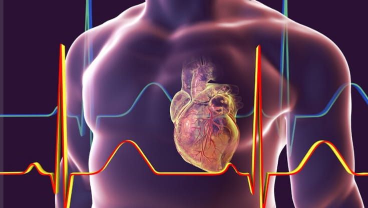 Rischio infarto, aritmie e diabete? Lo dirà (anche) la “pagella” del DNA