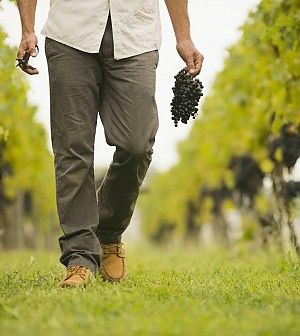 Scervino e Antinori vedono <br />Blackrock e fondi esteri