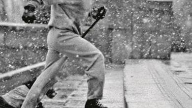 Adrianaaa... anch’io ce l’ho fatta: come Rocky Balboa ci ha cambiati