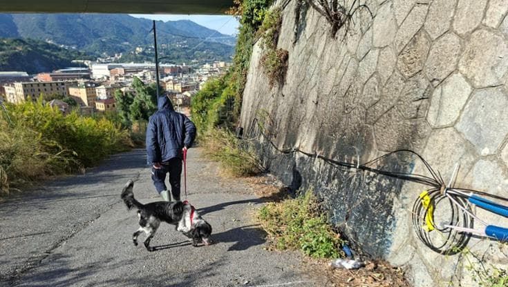 Incendio ai cavi della fibra, sequestrati cinque inneschi. Ancora nessuna rivendicazione