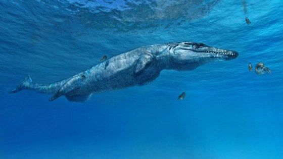 Ecco il 'Mostro di Melksham', il coccodrillo preistorico che abitava i mari d'Europa