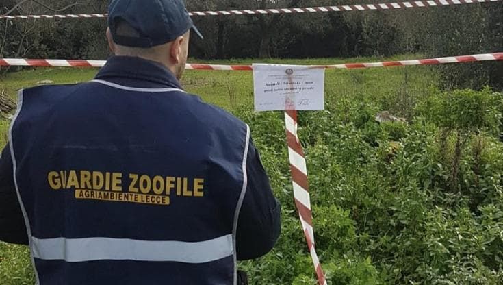 Stavano macellando clandestinamente una capra smarrita da un allevamento: coniugi denunciati