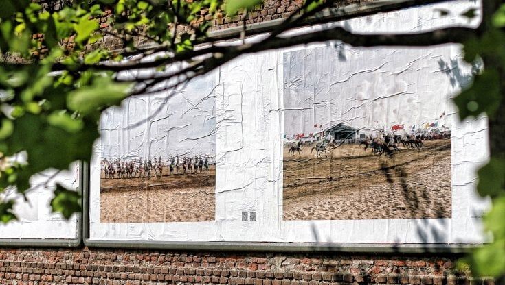 I cavalli  di El Maktafi al galoppo sui muri di Milano