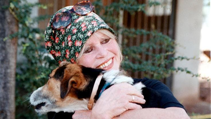 Cannes, la spiaggia del cinema intitolata a Brigitte Bardot. Per omaggiarla, ammessi anche i cani