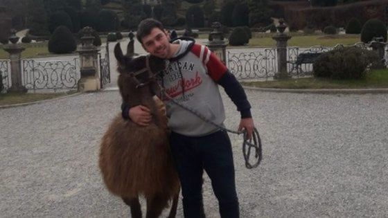 A passeggio con il lama nel centro di Varese: "Così anche i bambini di città possono vedere gli animali"