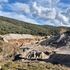 La piantina che frena la contaminazione delle miniere