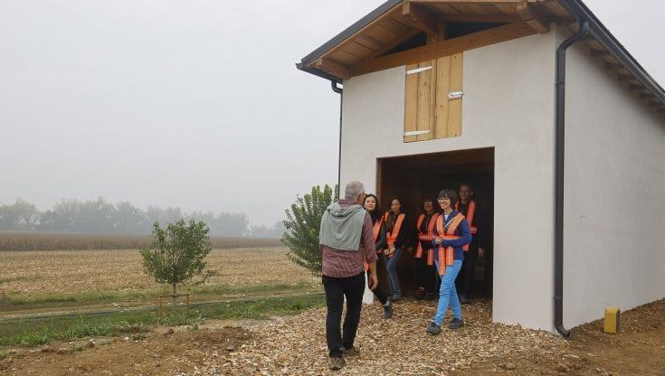 A Montechiarugolo nasce il Bosco Mutti, c'è anche una casa per le rondini