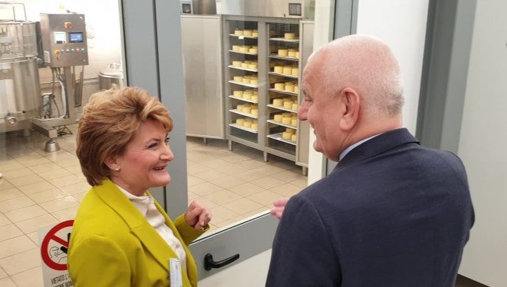  Scuola, il Food Farm cresce: in arrivo un piccolo caseificio 