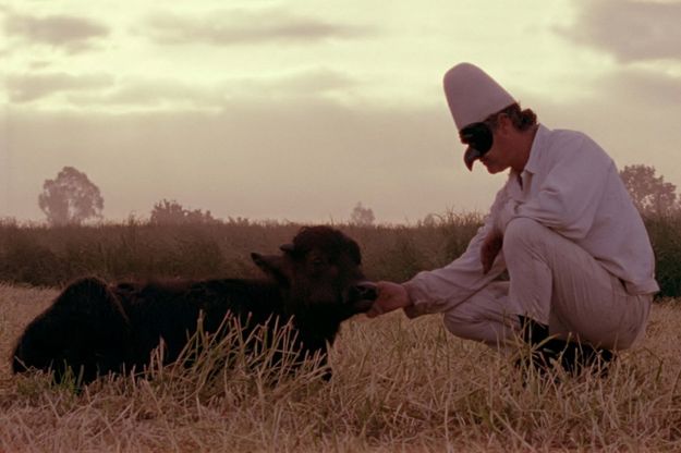 "Bella e perduta", il film sulla Reggia di Carditello
