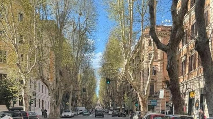 Il Campidoglio lancia il piano verde: 20mila alberi in un anno. Temperature più basse fino a 4 gradi