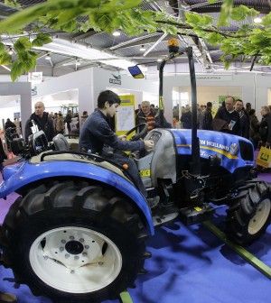 Marchio made in Italy e aiuti agli under 40<br />il governo vara gli aiuti all'agricoltura