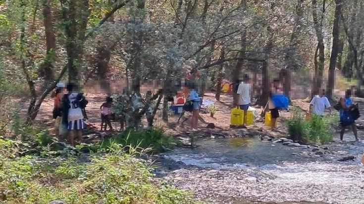 Rave nel Parco del Ticino con tende, musica e alcol: denunciato un uomo di 33 anni, 50 identificati