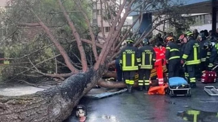 Albero caduto a Fisciano, protesta degli studenti. Filp Cisal: “L’Università fa scaricabarile”