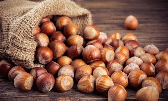 La Nocciola tonda francescana ‘sposa’ il Bacio Perugina
