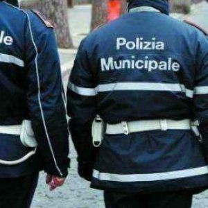 Tre cani avvelenati a Settecannoli, indagini della polizia municipale