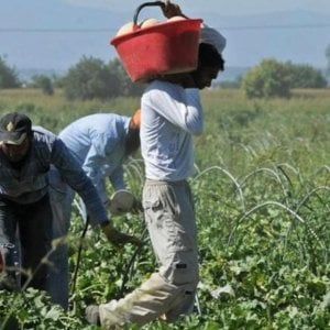 Regolamentazione, "Un passo avanti, ma restano punti critici: la durata del permesso di soggiorno e l'estensione a tutti i lavoratori"