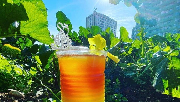 Il cocktail è alle cime di rapa: la bartender coreana porta Bari ai mondiali di settore