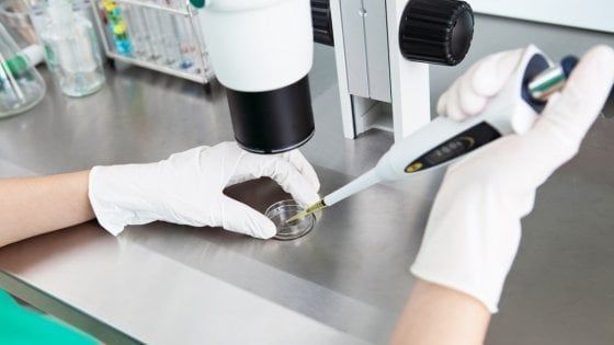 Tumore della vescica: nuove conferme per l'immunoterapia