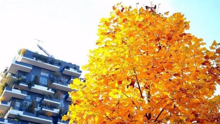 Previsioni meteo, torna il sole al Centro-Nord. Al Sud è ancora estate