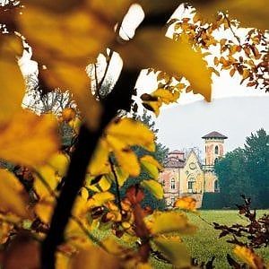 Al Castello di Miradolo alla scoperta  degli alberi al tempo del "foliage"
