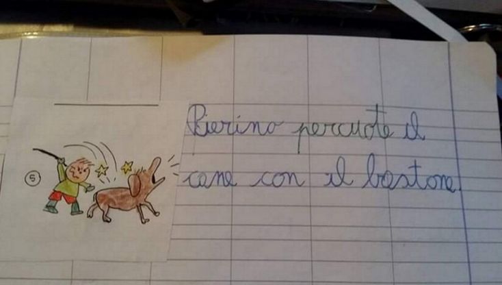Varese, bufera sul cane bastonato nel compitino delle elementari: "Denunciamo la maestra"