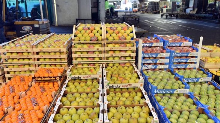 Lotta allo spreco alimentare: quasi 800 tonnellate di cibo recuperate in un anno e donate ai poveri