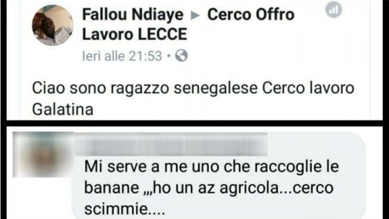 Lecce, migrante cerca lavoro su Facebook ma viene coperto d'insulti: "Mi serve una scimmia"
