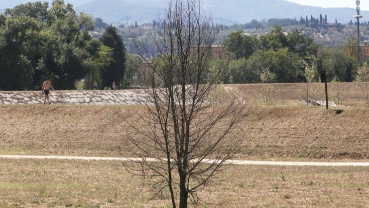 Cresce il Parco del Mensola, più attrezzature e un orto didattico
